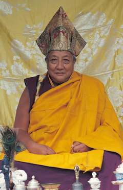 Trulshik Rinpoché